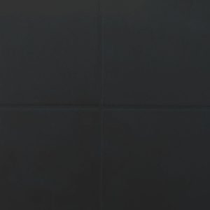 TILECOAT PRO  RAL 9005 – Negro intenso